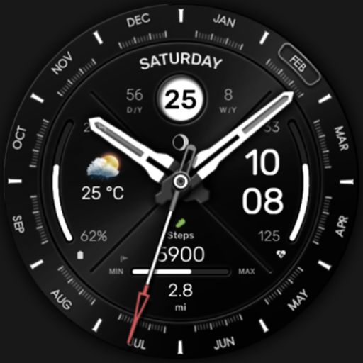 WFP 307 Hybrid watch face Logo