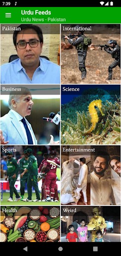 Android application Urdu Feeds: Urdu News-Pakistan screenshort