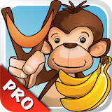 Go Bananas Pro - Monkey Game icon