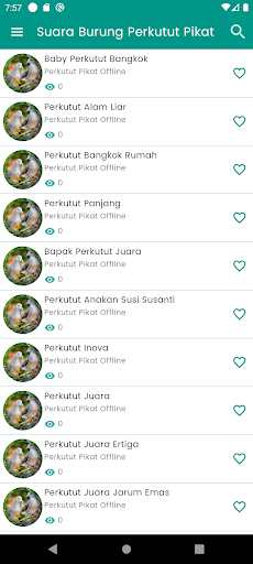 Suara Burung Perkutut Pikat Screen 2