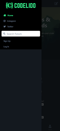 codelido | Blogging Community Screen 2