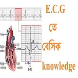 E.C.G তে বেসঠক knowledge icon