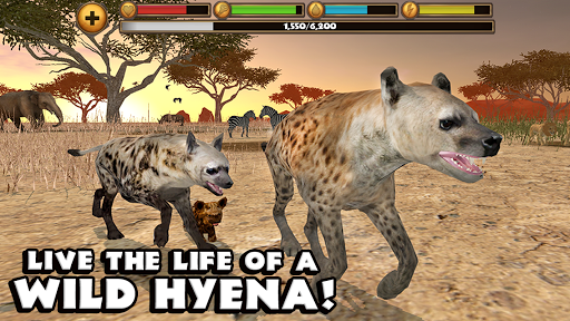 Hyena Simulator Screenshot