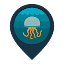 InfoJellyfish