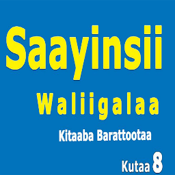 Saayinsii Walii galaa Kutaa 8: imaxe da icona