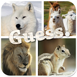 Guess The Animals Quiz icon