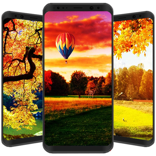 Best Autumn Wallpaper HD