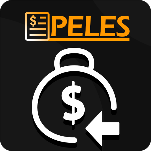 Peles Expenses 10.0 Icon