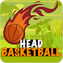 Head Basketball Arena