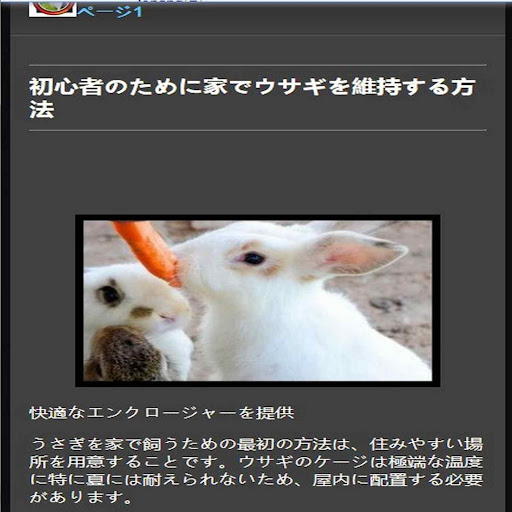 how to raise rabbits