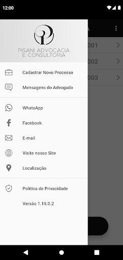 Pisani Advocacia e Consultoria Screen 3