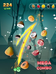 Fruit Shooter - Fruit Game poster 10
