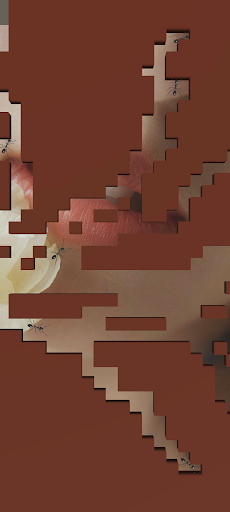 Ant Imagine Screen 3