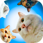 Cover Image of ดาวน์โหลด Cute Cat Stickers for WhatsApp  APK
