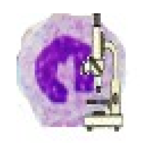 ContaCel: contador hemograma logo
