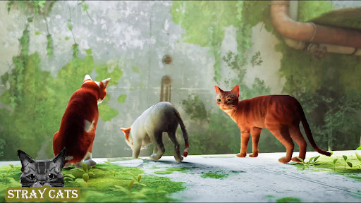 Virtual Stray Cat In Street