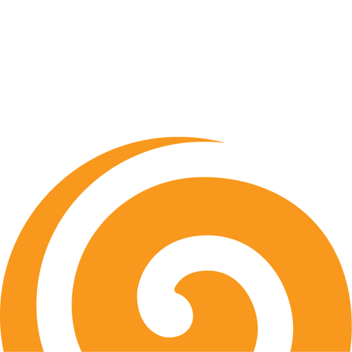 RAZ INFO logo