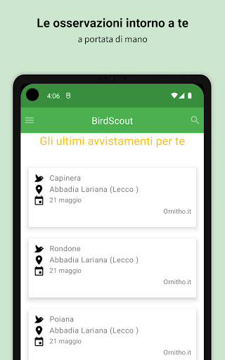 BirdScout