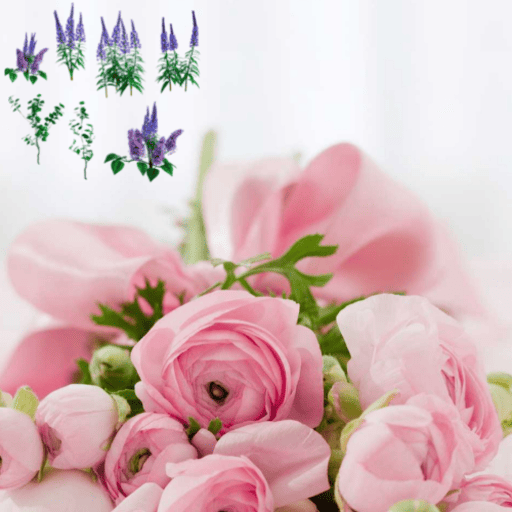 Types of roses logo