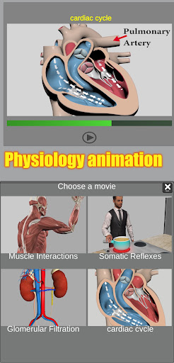 3D Anatomy - Medical - apps