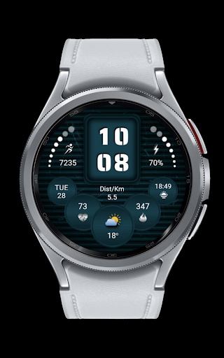 CNRwatch055 screenshot 4