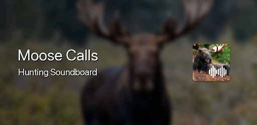 Moose Hunting Calls