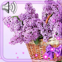 Lilac Purple Live Wallpaper