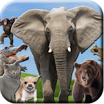 Cover Image of Tải xuống ABC Animal Sounds  APK