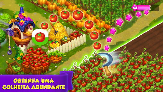 Royal Farm – Fazenda e cidade 4