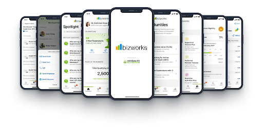 HL Bizworks