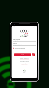 Audi Grapevine Connect