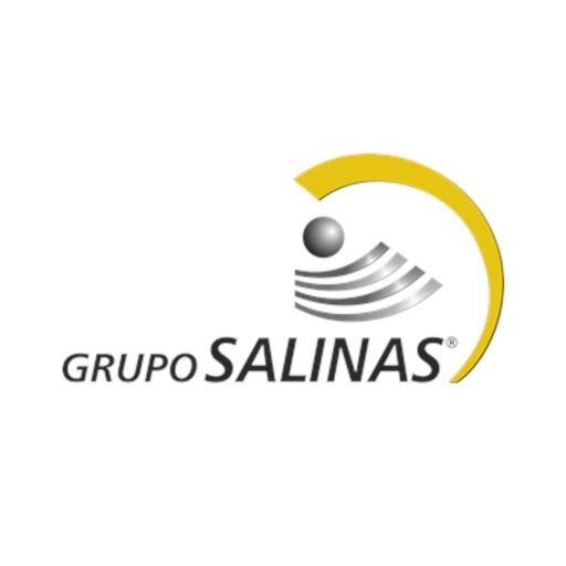 FR Grupo Salinas logo