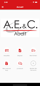 AEC Audit