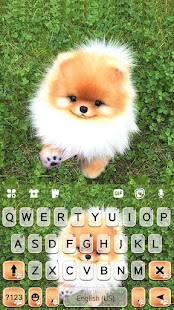 かわいい子犬ポンポンキーボードの背景 Iphone Android ゲーム どっち Tibigame Net