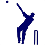 Street Cricket Calculator icon