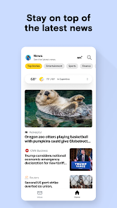 Screenshot image