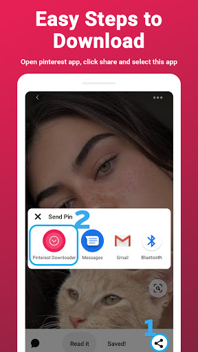 Video Downloader For Pinterest Screenshot 2 - AppWisp.com