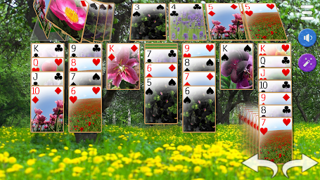 Solitaire 3D - Solitaire Game
