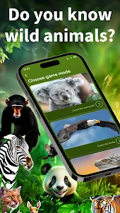 Wild Animals - Zoo Quiz Flash