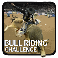 Bull Riding Challenge