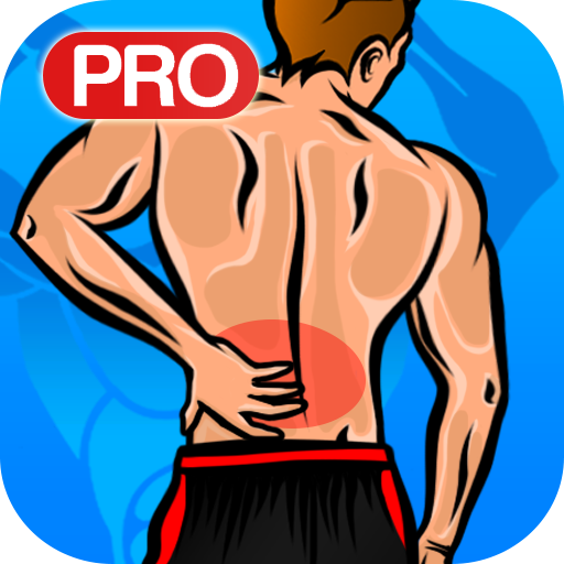 Back Pain Relief Exercise PRO Download on Windows