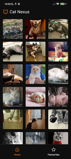 Android application Cat Nexus screenshort