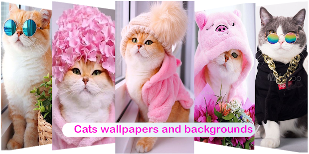 Girly wallpaper 3.0.0 APK screenshots 4