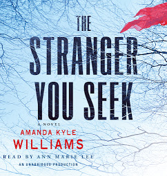 Icon image The Stranger You Seek: A Novel