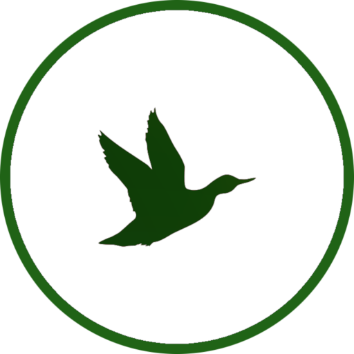 Albufera de Valencia