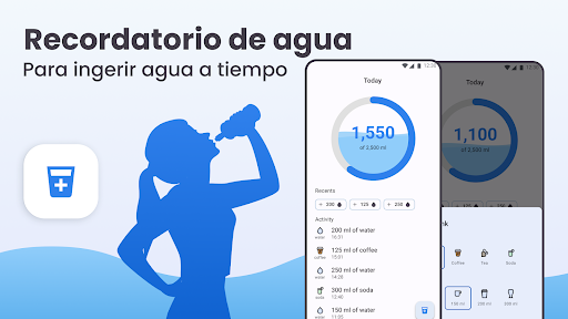 Vista previa de la aplicación