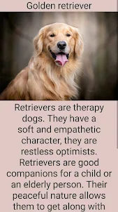 The kindest dogs in the world