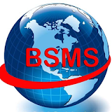 BSMS Formal Manpower Supply icon