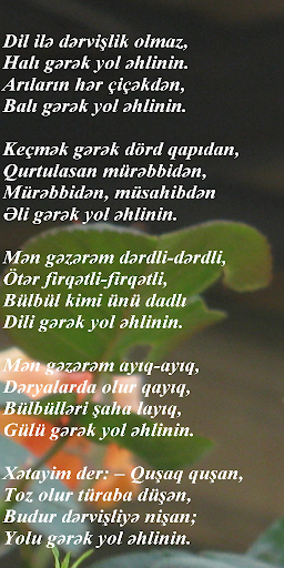 Şah İsmayıl Səfəvi