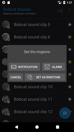 Bobcat Sounds Screen 3